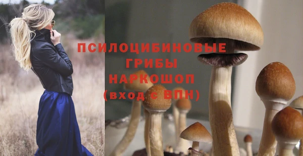 соль ск Бронницы
