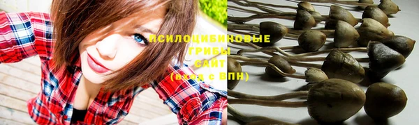 прущие крисы Верея