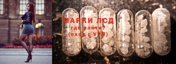 ECSTASY Бородино