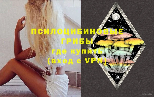 эйфоретик Верхний Тагил