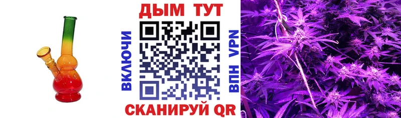 Шишки марихуана VHQ  продажа наркотиков  Губаха 